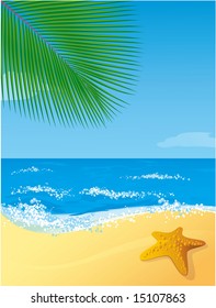 Tropical beach. Vector.