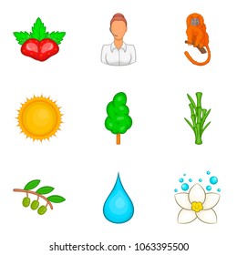 Tropical beast icons set. Cartoon set of 9 tropical beast vector icons for web isolated on white background