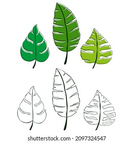 Tropical Beateful Leaves Vector Draw
