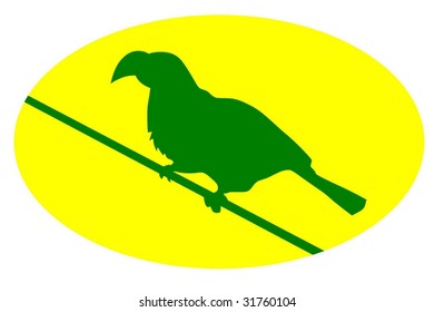 tropical bird
