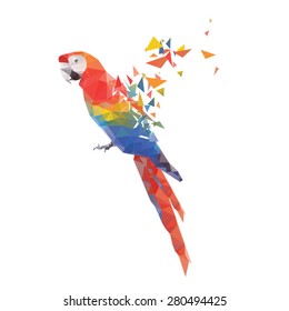 Tropical Bird - Ara ra