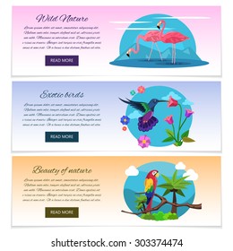 Tropical bird banner horizontal set with pink flamingo colibri and parrot isolated vector illustration