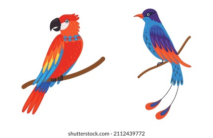 Tropical Bird with Bright Feathers Sitting on Tree Branch Vector Set