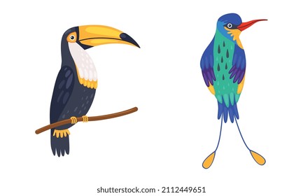 Tropical Bird with Bright Feathers Sitting on Tree Branch Vector Set