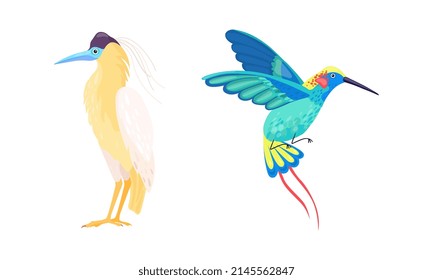 Ave tropical con plumas brillantes conjunto de iluminación vectorial
