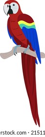 Tropical Bird. Bright parrot with red, blue and yellow feathers on a branch. Vector image in cartoon style.