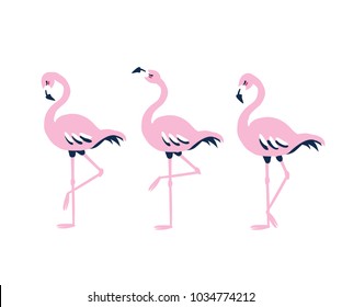 Tropical bird flamingo set. Vector illustration isolated on white background.