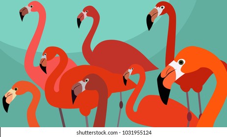 Tropical Bird Flamingos. Vector.