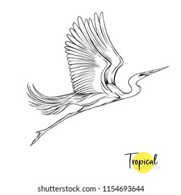 Tropical bird. Graphic drawing, engraving style vector illustration.
