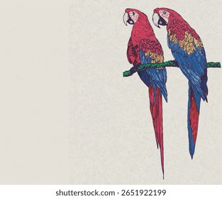 Tropical bird graphic print design. Tropical vibes t shirt artwork. Summer vibes artwork. Macaw paradise design.