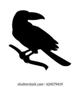 tropical bird icon image 