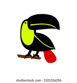 Tropical bird, keel-billed toucan with big beak.