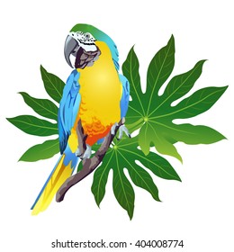 Tropical bird and palm leaves. Vector. Parrot.