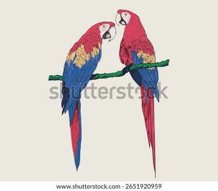  Tropical bird print design. Parrot set. Macaw paradise artwork.