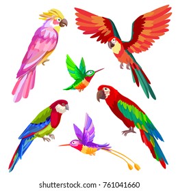 Tropical bird set: parrot macaw, cockatoo and hummingbirds isolated on white