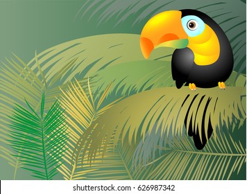 tropical bird. Toucan