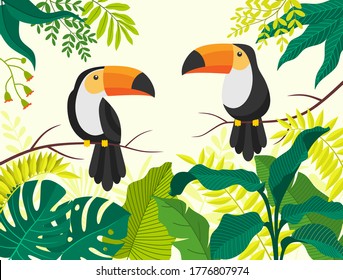 Tropical bird toucan cartoon animal design.