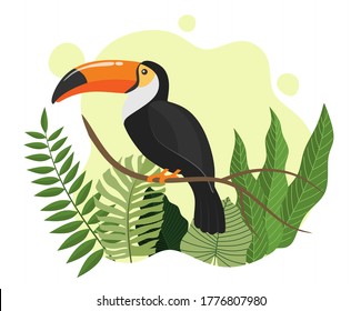 Dessin d'oiseau tropical toucan sur dessin d'animaux.