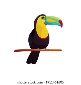 Tropical bird toucan sitting on a tree branch. Cartoon vector illustration. 