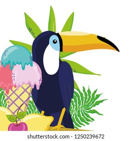 tropical bird tucano cartoon