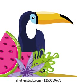 tropical bird tucano cartoon