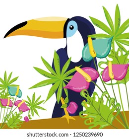 tropical bird tucano cartoon