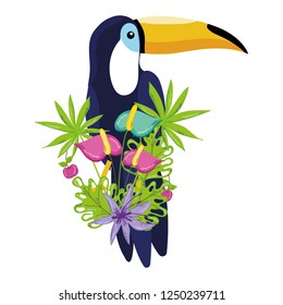 tropical bird tucano cartoon