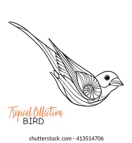 Tropical bird. Vector illustration. Coloring book for adult and older children. Coloring page. Outline drawing.