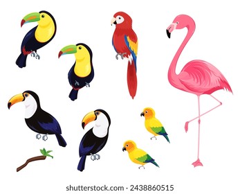 Conjunto de material de ilustración vectorial de pájaro tropical