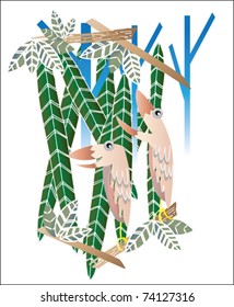 Tropical birds