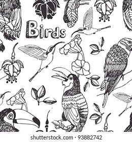 Tropical birds background