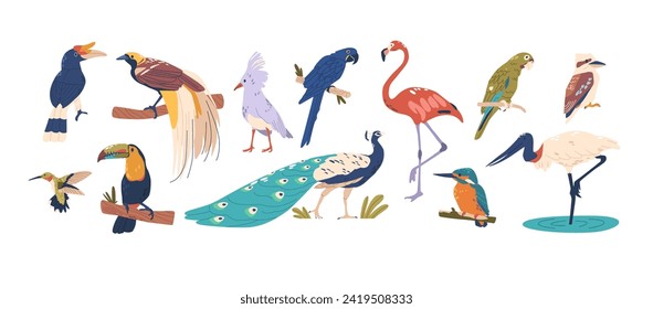 Tropical Birds Boast Vibrant Plumage. Isolated Vector Set features Rainforests Birds, Macaw, Toucan, And Parrot, Peacock