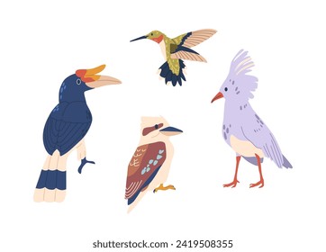 Las Aves Tropicales Presentan Un Desplome Vibrante. Aves De Bosques Lluviosos, Hummingbird Y Kagu, Rhinoceros Hornbill Aislado Vector