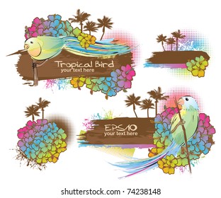 Tropical Birds collection