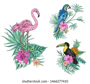 Tropical birds collection: parrot, flamingo and toucan. Vector design isolated elements. Exotic flowers and palm leaves. Exotic set tropical for wedding invitations, greeting card and fashion design.