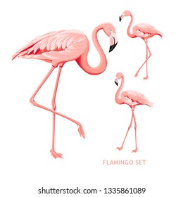 Tropical birds collection. Pink flamingos set. Fashion summer print bundle. Elements for invitation card and your template design. Vector illustration.