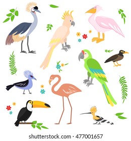 Tropical birds collection. Vector set.