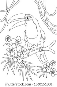 Tropical birds coloring page. Toucan contour. Children background. Bird cartoon