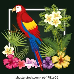 Tropical birds design