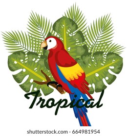 Tropical birds design