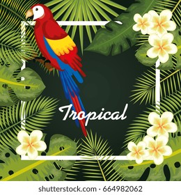 Tropical birds design