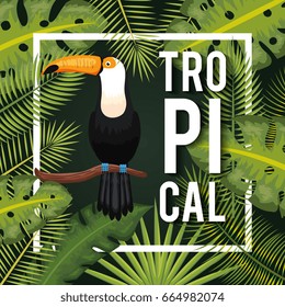 Tropical birds design
