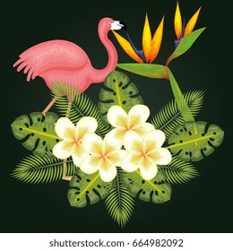 Tropical birds design