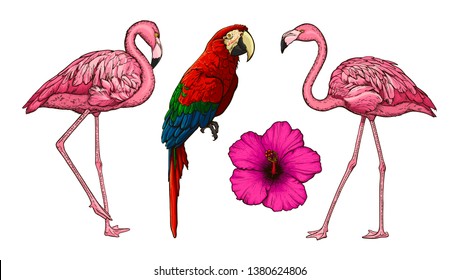 Flamingo Tattoo Images Stock Photos Vectors Shutterstock