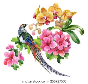 Tropical birds with flowers colorful pattern on white background vector illustration