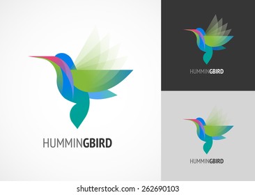 Tropical birds - humming bird vector icon