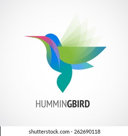 Tropical birds - humming bird vector icon