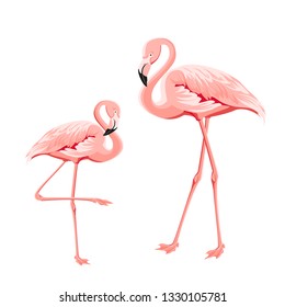 Tropical birds illustration. Pink flamingos set. Two staing flamingos. Elements for invitation card and your template design. Vector illustration.