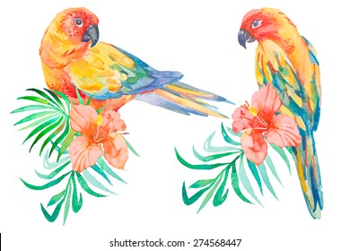  Tropical birds isolated on white background. Palm leaves and tropical flower. Parrot. Art. Vector.Palm leaves and tropical flower.