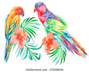 Tropical birds isolated on white background. King parrot( Yellow-bibbed lory). Vector.Tropical parrot.Palm leaves and tropical flower. Exotic. Vector for your design